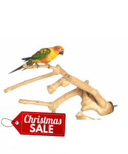 Java Wood Multibranch Perch For Parrots - Small